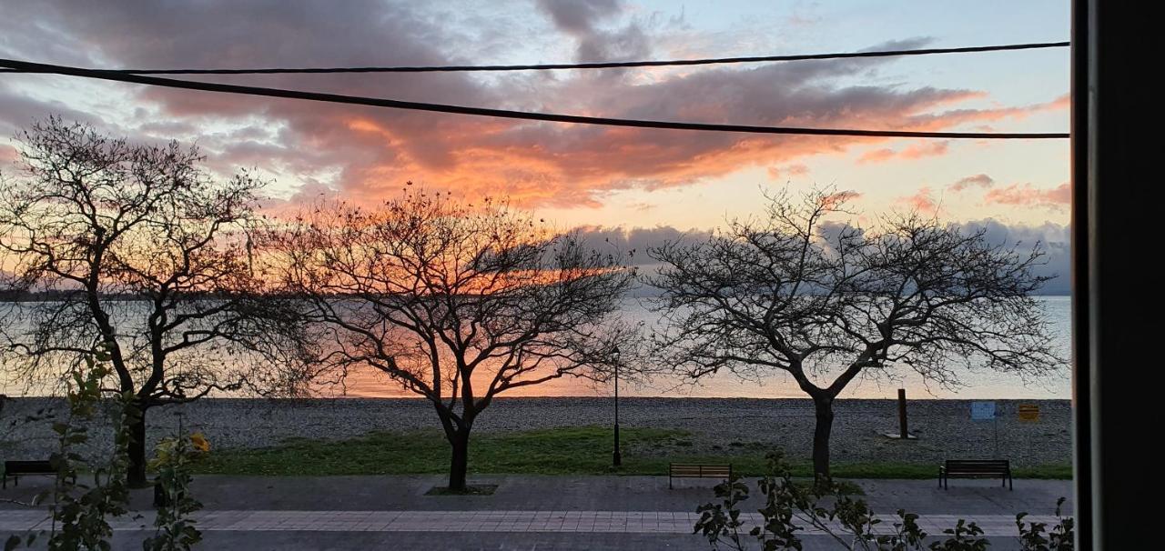 Nafpaktos Beach House Sea View Apartment First Floor المظهر الخارجي الصورة